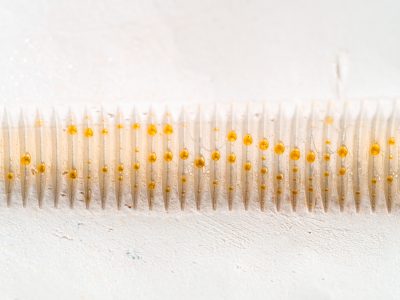 Photographie d'art de Nicolas Claris — Boulons — anneaux, blanc, boulon