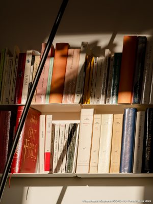 Photographie d'art de Nicolas Claris — Confinement — livre, bibliothèque, étagère