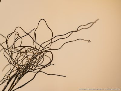 Photographie d'art de Nicolas Claris — Confinement — fil, fer, métal