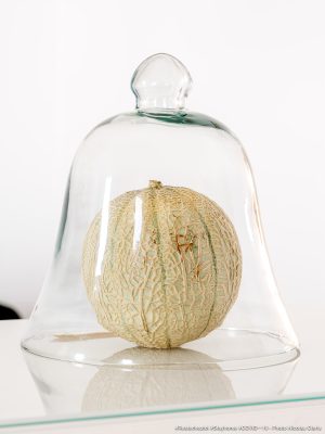 Photographie d'art de Nicolas Claris — Confinement — beige, blanc, cloche