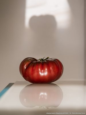 Photographie d'art de Nicolas Claris — Confinement — tomate, rouge, ombre