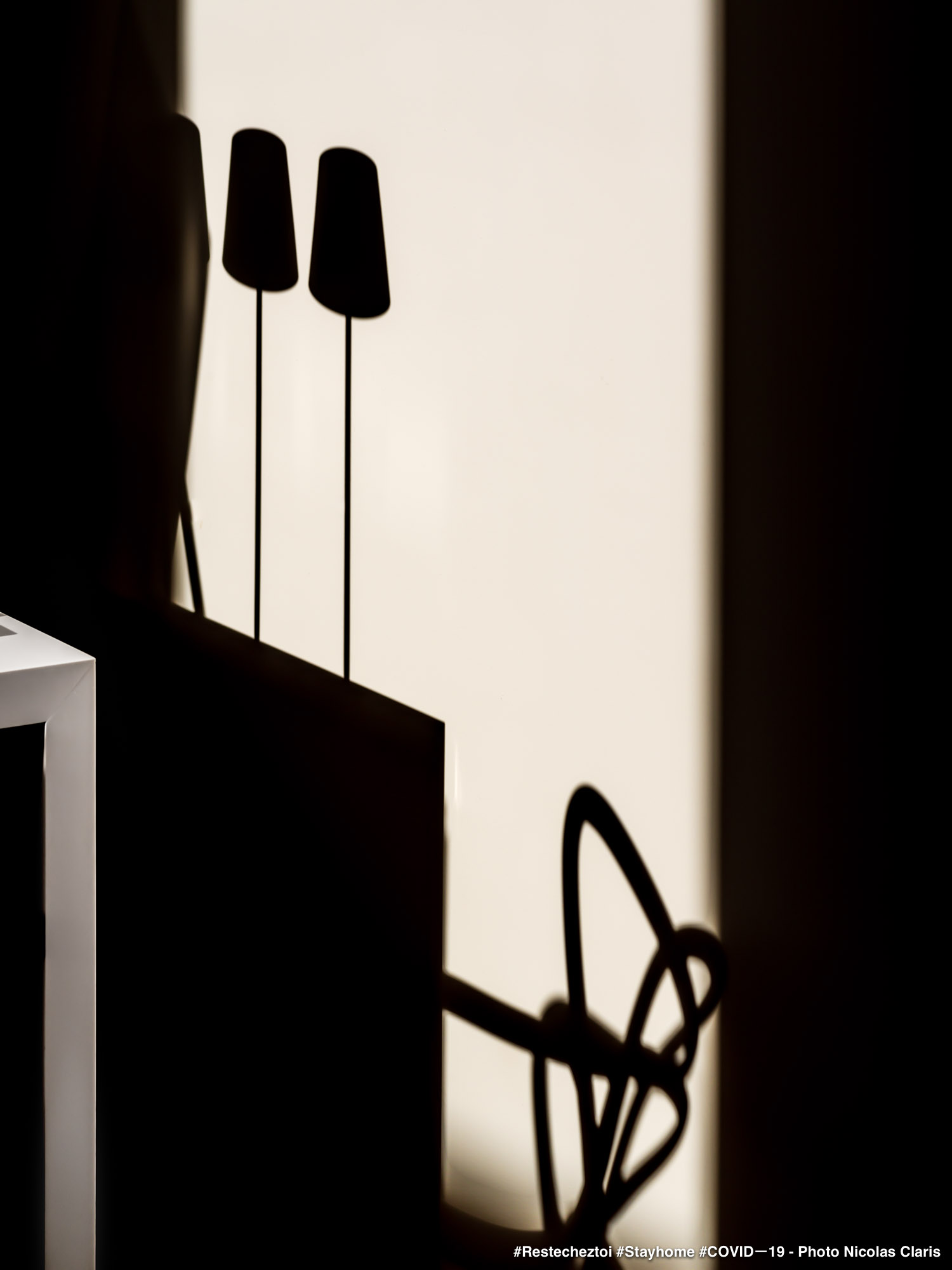 Photographie d'art de Nicolas Claris — Un Peu De Rouge Pourtant, 47 ncz6129