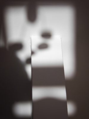 Photographie d'art de Nicolas Claris — Dimanche Matin — abstraction, blanc, feuille