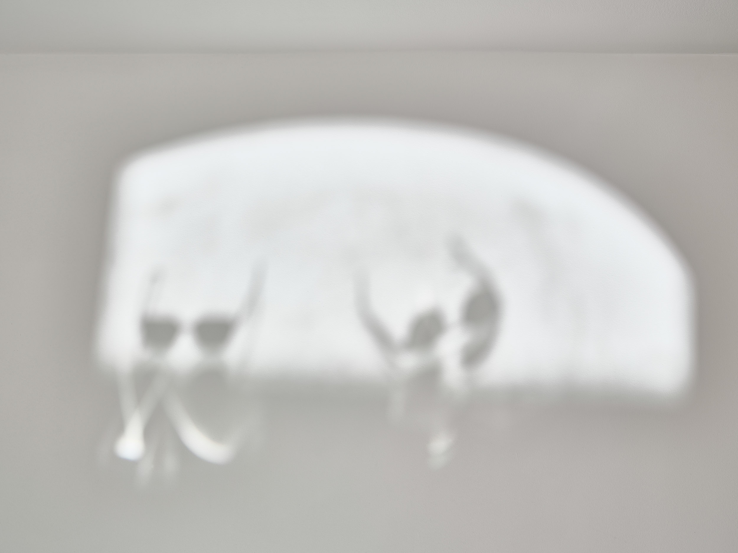 Photographie d'art de Nicolas Claris — Un Peu De Rouge Pourtant, Nif3416 dim