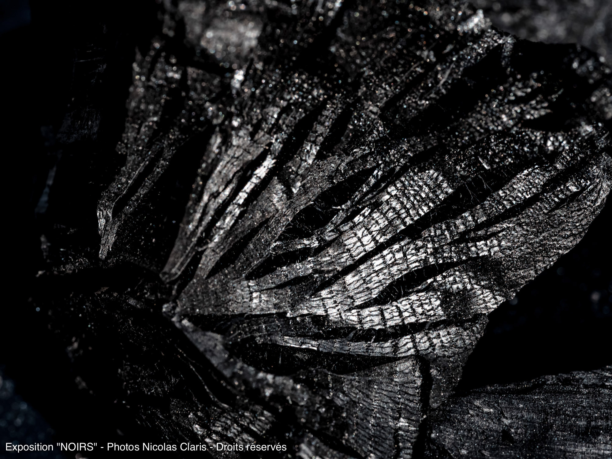 Photographie d'art de Nicolas Claris — Un Peu De Rouge Pourtant, Charbon ncz0786