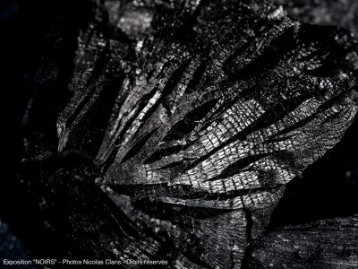 Photographie d'art de Nicolas Claris — Noirs — bois, brûlé, carbonisé