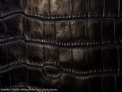 Photographie d'art de Nicolas Claris — Noirs — bleu, brillant, crocodile