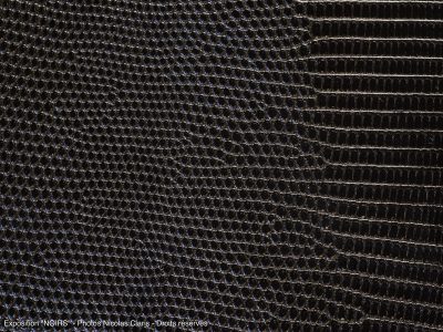 Photographie d'art de Nicolas Claris — Noirs — brillant, cuir, écailles