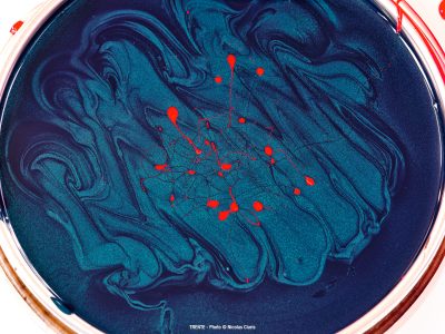 Photographie d'art de Nicolas Claris — Trente — abstraction, bleu, brillant