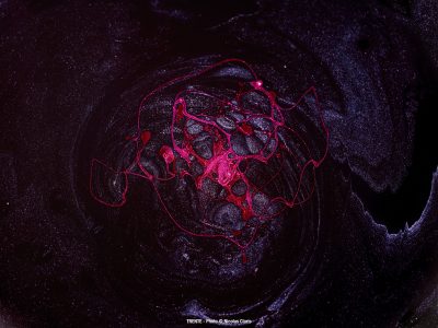 Photographie d'art de Nicolas Claris — Trente — abstraction, brillant, filaments