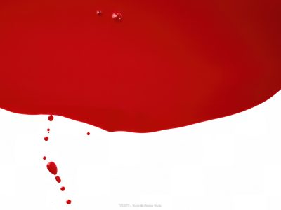 Photographie d'art de Nicolas Claris — Trente — abstraction, blanc, brillant