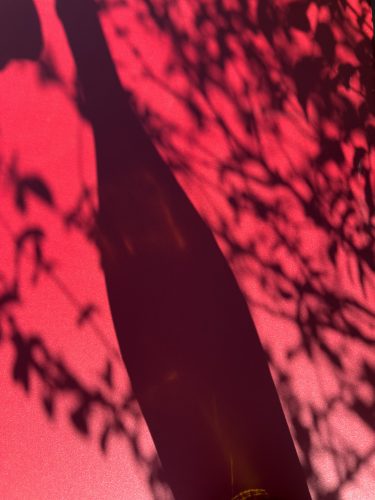 Photographie d'art de Nicolas Claris — Phoneries — ombre, bouteille, rouge