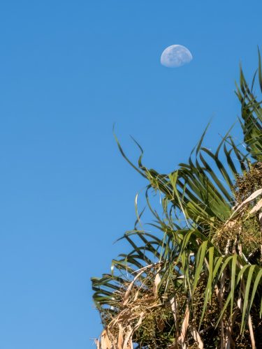 Photographie d'art de Nicolas Claris — Phoneries — bleu, ciel, espagne