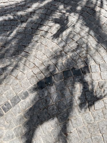 Photographie d'art de Nicolas Claris — Phoneries — espagne, feuille, granit