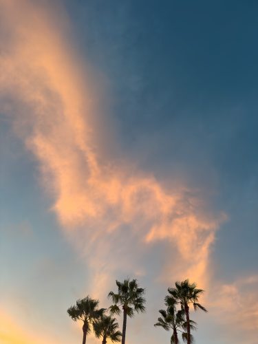 Photographie d'art de Nicolas Claris — Phoneries — aube, bleu, ciel