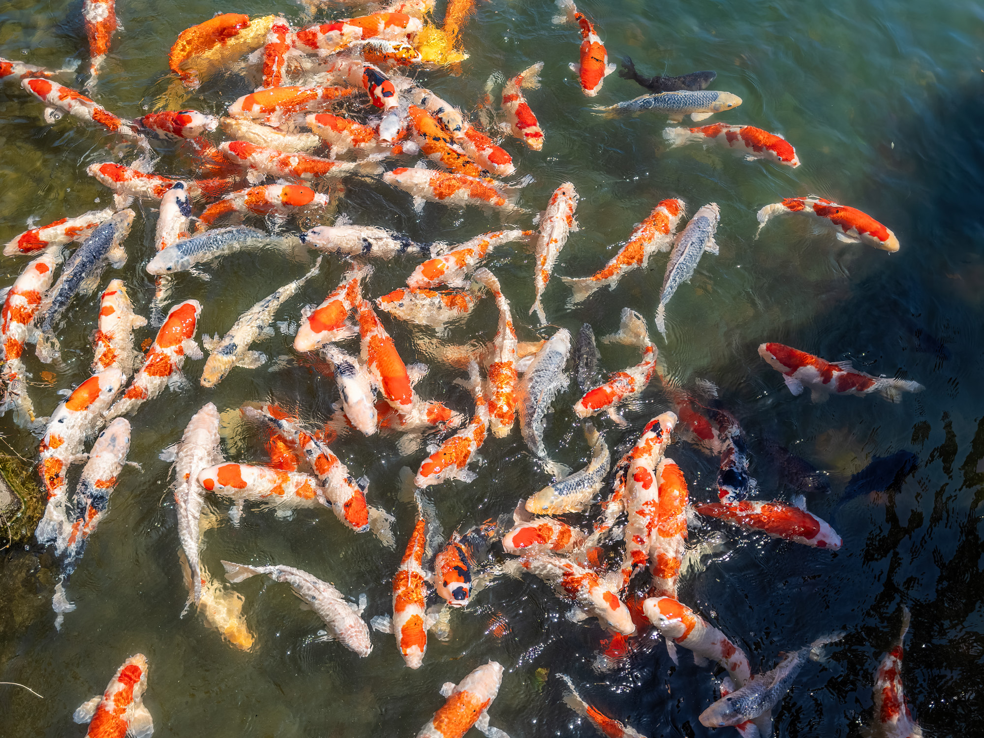 Photographie d'art de Nicolas Claris — Paysages marins