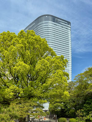 Photographie d'art de Nicolas Claris — Paysages marins, Japon 18 img e3187