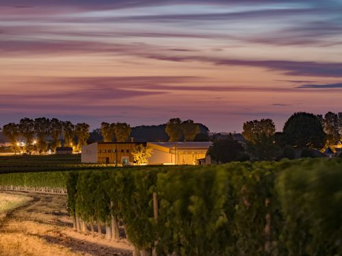 Vignobles
