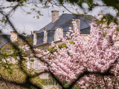 Photographie d'art de Nicolas Claris — Paysages marins, Chateau leoville barton ncz0264