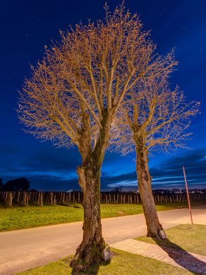 Photographie d'art de Nicolas Claris — Paysages marins, Chateaux clinet ncl4535