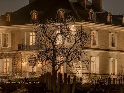 Photographie d'art de Nicolas Claris — Paysages marins, Chateaux haut bailly ncz4418
