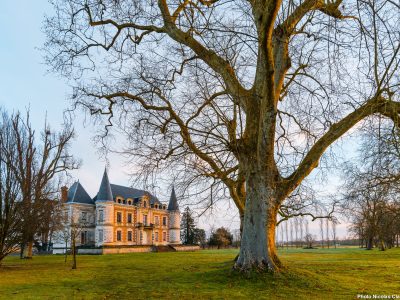 Photographie d'art de Nicolas Claris — Paysages marins, Chateaux lamothe ncl3987 claris