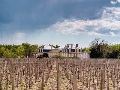 Photographie d'art de Nicolas Claris — Paysages marins, Chateaux leoville barton ncz0339
