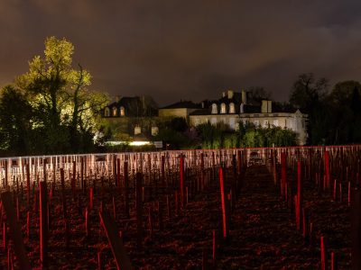 Photographie d'art de Nicolas Claris — Paysages marins, Chateaux leoville barton ncz0869