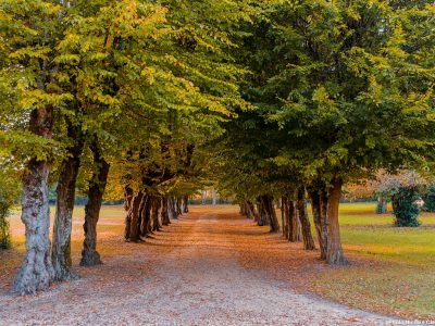 Photographie d'art de Nicolas Claris — Paysages marins, Chateaux reignac ncl9231