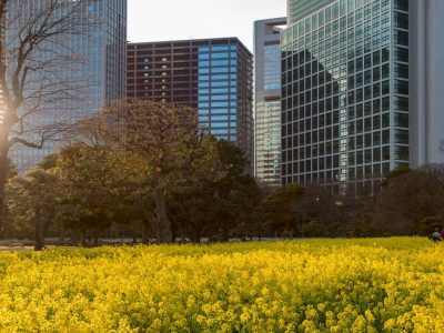 Photographie d'art de Nicolas Claris — Paysages marins, Japon rues nck6965