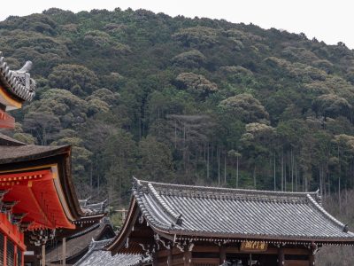 Photographie d'art de Nicolas Claris — Paysages marins, Japon traditionnel nck7277