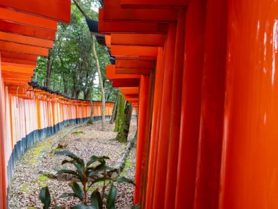 Photographie d'art de Nicolas Claris — Paysages marins, Japon traditionnel nck7559