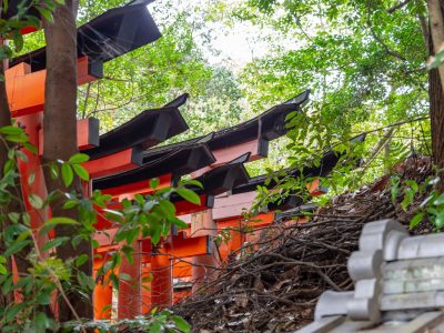 Photographie d'art de Nicolas Claris — Paysages marins, Japon traditionnel nck7564