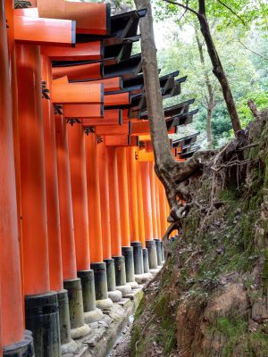 Photographie d'art de Nicolas Claris — Paysages marins, Japon traditionnel nck7579