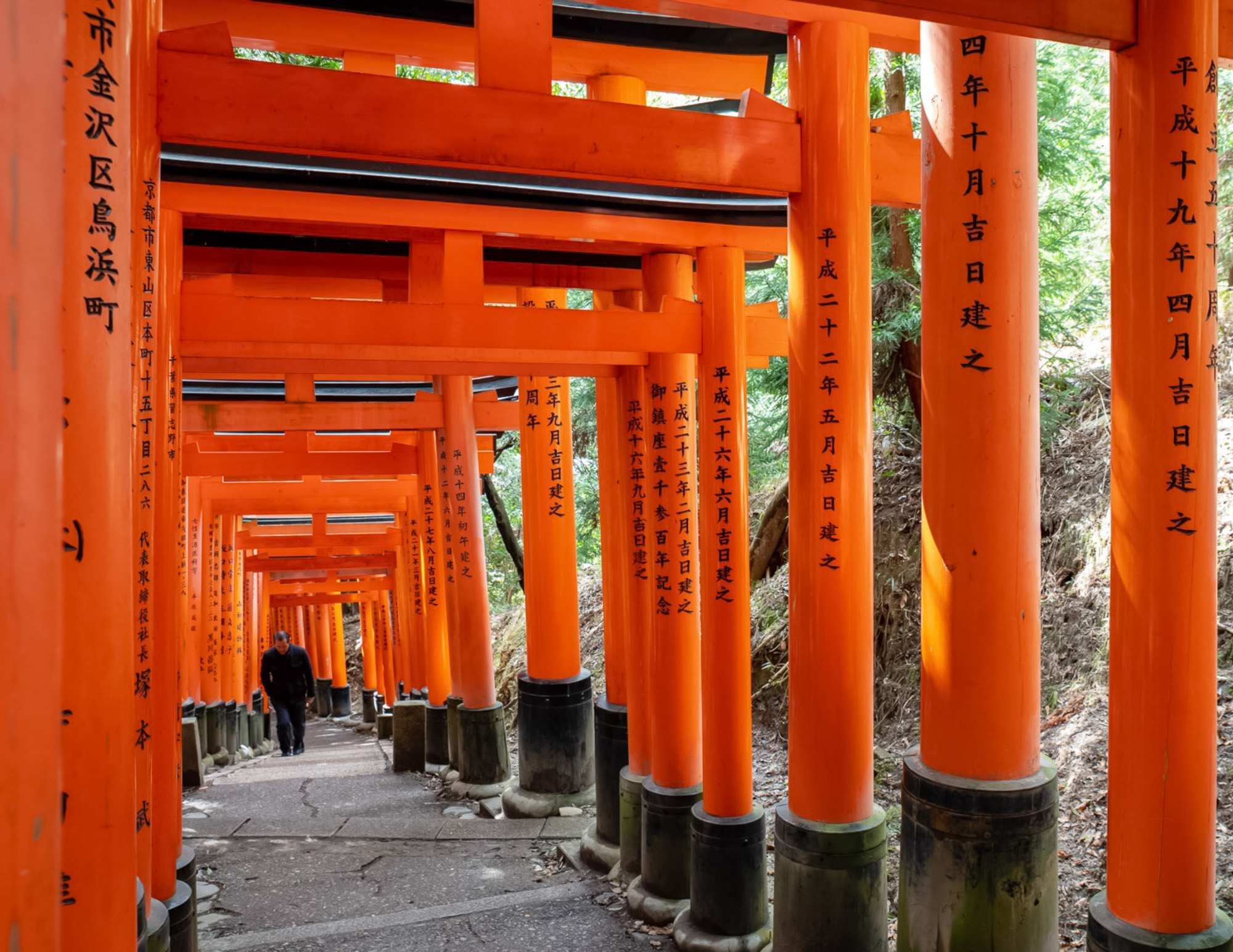 Photographie d'art de Nicolas Claris — Japon_Traditionnel