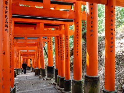 Photographie d'art de Nicolas Claris — Paysages marins, Japon traditionnel nck7593