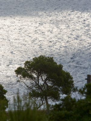 Photographie d'art de Nicolas Claris — Paysages marins, G8a1330