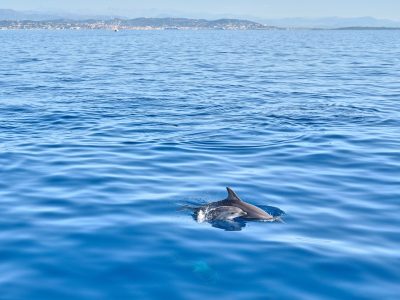 Photographie d'art de Nicolas Claris — Paysages marins